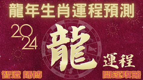 甲辰龍年顏色|2024龍年十二生肖幸運色公開！從流年運勢挑精品包。